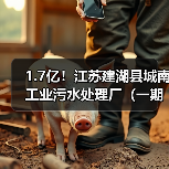 1.7亿!江苏建湖县城南工业污水处理厂(一期)工程招标!(图3) 1.7亿!江苏建湖县城南工业污水处理厂(一期)工程招标!(图3)
