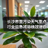 长沙市重污染天气重点行业应急减排绩效提级第一批企业名单公示（图3）