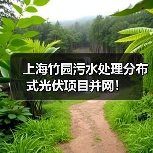 上海竹园污水处理分布式光伏项目并网！（图2）