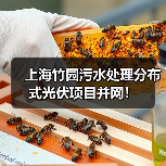上海竹园污水处理分布式光伏项目并网！（图1）