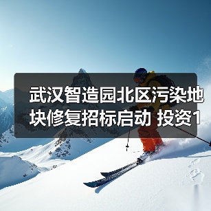 武汉智造园北区污染地块修复招标启动 投资1300万如何推进？（图4）