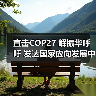 直击COP27 解振华呼吁 发达国家应向发展中国家提供资金、技术支持(图4) 直击COP27 解振华呼吁 发达国家应向发展中国家提供资金、技术支持(图4)