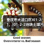 重庆市大渡口区I01-2-1、I01-2-2地块土壤污染治理修复工程招标!(图2) 重庆市大渡口区I01-2-1、I01-2-2地块土壤污染治理修复工程招标!(图2)