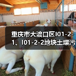 重庆市大渡口区I01-2-1、I01-2-2地块土壤污染治理修复工程招标!(图3) 重庆市大渡口区I01-2-1、I01-2-2地块土壤污染治理修复工程招标!(图3)