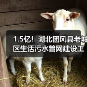 1.5亿!湖北团风县老城区生活污水管网建设工程EPC总承包招标(图1) 1.5亿!湖北团风县老城区生活污水管网建设工程EPC总承包招标(图1)