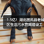 1.5亿!湖北团风县老城区生活污水管网建设工程EPC总承包招标(图2) 1.5亿!湖北团风县老城区生活污水管网建设工程EPC总承包招标(图2)