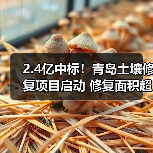2.4亿中标!青岛土壤修复项目启动 修复面积超21万立方米(图1) 2.4亿中标!青岛土壤修复项目启动 修复面积超21万立方米(图1)