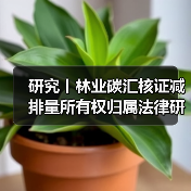 研究丨林业碳汇核证减排量所有权归属法律研究（图3）
