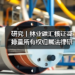 研究丨林业碳汇核证减排量所有权归属法律研究（图4）