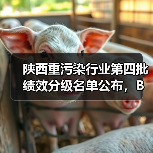 陕西重污染行业第四批绩效分级名单公布，B级及以上企业名单揭晓（图4）