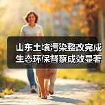 山东土壤污染整改完成 生态环保督察成效显著(图4) 山东土壤污染整改完成 生态环保督察成效显著(图4)