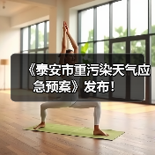 《泰安市重污染天气应急预案》发布!(图3) 《泰安市重污染天气应急预案》发布!(图3)
