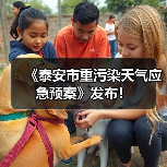 《泰安市重污染天气应急预案》发布!(图2) 《泰安市重污染天气应急预案》发布!(图2)