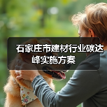 石家庄市建材行业碳达峰实施方案(图4) 石家庄市建材行业碳达峰实施方案(图4)