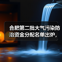 合肥第二批大气污染防治资金分配名单出炉,哪些企业获补助?(图2) 合肥第二批大气污染防治资金分配名单出炉,哪些企业获补助?(图2)