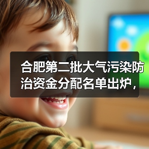合肥第二批大气污染防治资金分配名单出炉,哪些企业获补助?(图1) 合肥第二批大气污染防治资金分配名单出炉,哪些企业获补助?(图1)