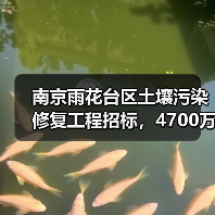 南京雨花台区土壤污染修复工程招标,4700万预算曝光(图3) 南京雨花台区土壤污染修复工程招标,4700万预算曝光(图3)