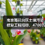 南京雨花台区土壤污染修复工程招标,4700万预算曝光(图4) 南京雨花台区土壤污染修复工程招标,4700万预算曝光(图4)