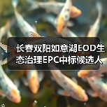 长春双阳如意湖EOD生态治理EPC中标候选人公示(图4) 长春双阳如意湖EOD生态治理EPC中标候选人公示(图4)