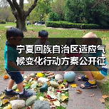 宁夏回族自治区适应气候变化行动方案公开征求意见(图3) 宁夏回族自治区适应气候变化行动方案公开征求意见(图3)