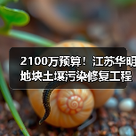 2100万预算！江苏华明地块土壤污染修复工程招标启动（图3）