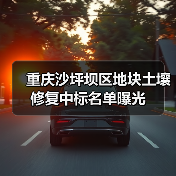 重庆沙坪坝区地块土壤修复中标名单曝光(图1) 重庆沙坪坝区地块土壤修复中标名单曝光(图1)