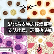 湖北首支生态环境警察支队挂牌,环保执法如何升级?(图2) 湖北首支生态环境警察支队挂牌,环保执法如何升级?(图2)