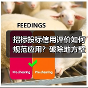 招标投标信用评价如何规范应用?破除地方壁垒促公平竞争(图1) 招标投标信用评价如何规范应用?破除地方壁垒促公平竞争(图1)