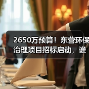 2650万预算!东营环保治理项目招标启动,谁来接盘?(图2) 2650万预算!东营环保治理项目招标启动,谁来接盘?(图2)