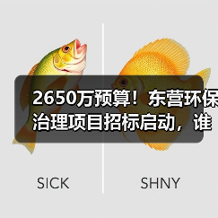 2650万预算!东营环保治理项目招标启动,谁来接盘?(图3) 2650万预算!东营环保治理项目招标启动,谁来接盘?(图3)