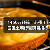 1450万预算!苏州工业园区土壤修复项目招标关键要求解析(图3) 1450万预算!苏州工业园区土壤修复项目招标关键要求解析(图3)