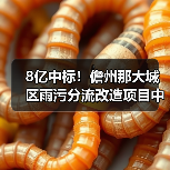 8亿中标！儋州那大城区雨污分流改造项目中标单位曝光（图1）