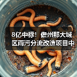 8亿中标！儋州那大城区雨污分流改造项目中标单位曝光（图4）
