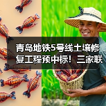 青岛地铁5号线土壤修复工程预中标!三家联合体角逐中标(图3) 青岛地铁5号线土壤修复工程预中标!三家联合体角逐中标(图3)