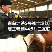 青岛地铁5号线土壤修复工程预中标!三家联合体角逐中标(图4) 青岛地铁5号线土壤修复工程预中标!三家联合体角逐中标(图4)