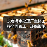 长春污水处理厂主体工程全面竣工,环保设施即将投入运行(图2) 长春污水处理厂主体工程全面竣工,环保设施即将投入运行(图2)