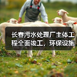 长春污水处理厂主体工程全面竣工,环保设施即将投入运行(图3) 长春污水处理厂主体工程全面竣工,环保设施即将投入运行(图3)