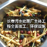 长春污水处理厂主体工程全面竣工,环保设施即将投入运行(图4) 长春污水处理厂主体工程全面竣工,环保设施即将投入运行(图4)