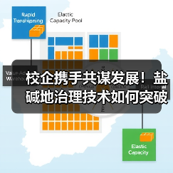 校企携手共谋发展!盐碱地治理技术如何突破合作边界?(图1) 校企携手共谋发展!盐碱地治理技术如何突破合作边界?(图1)