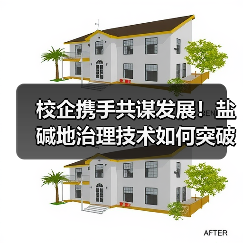 校企携手共谋发展!盐碱地治理技术如何突破合作边界?(图4) 校企携手共谋发展!盐碱地治理技术如何突破合作边界?(图4)