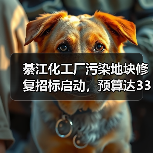 綦江化工厂污染地块修复招标启动，预算达3300万（图1）