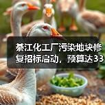 綦江化工厂污染地块修复招标启动，预算达3300万（图4）