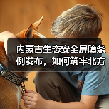 内蒙古生态安全屏障条例发布,如何筑牢北方生态防线?(图4) 内蒙古生态安全屏障条例发布,如何筑牢北方生态防线?(图4)