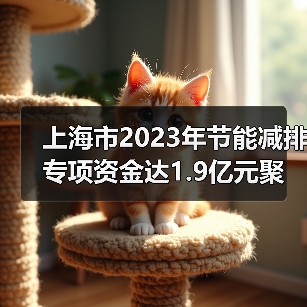 上海市2023年节能减排专项资金达1.9亿元聚焦哪些重点领域？（图1）