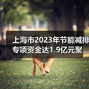 上海市2023年节能减排专项资金达1.9亿元聚焦哪些重点领域？（图4）
