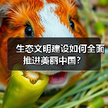 生态文明建设如何全面推进美丽中国?(图3) 生态文明建设如何全面推进美丽中国?(图3)