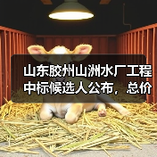 山东胶州山洲水厂工程中标候选人公布,总价近3亿(图3) 山东胶州山洲水厂工程中标候选人公布,总价近3亿(图3)