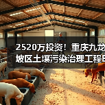2520万投资!重庆九龙坡区土壤污染治理工程EPC总承包招标启动(图2) 2520万投资!重庆九龙坡区土壤污染治理工程EPC总承包招标启动(图2)