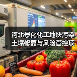 河北景化化工地块污染土壤修复与风险管控项目招标启动（图4）