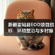 新疆霍城县EOD项目招标：环境整治与乡村振兴如何融合？（图2）